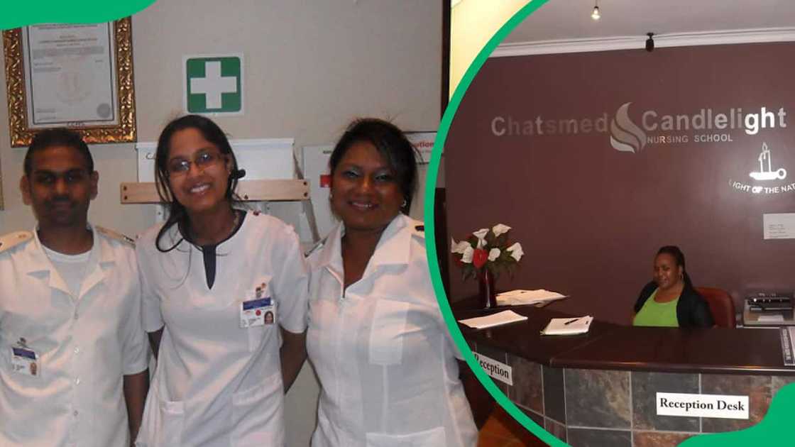 nursing schools nursing schools