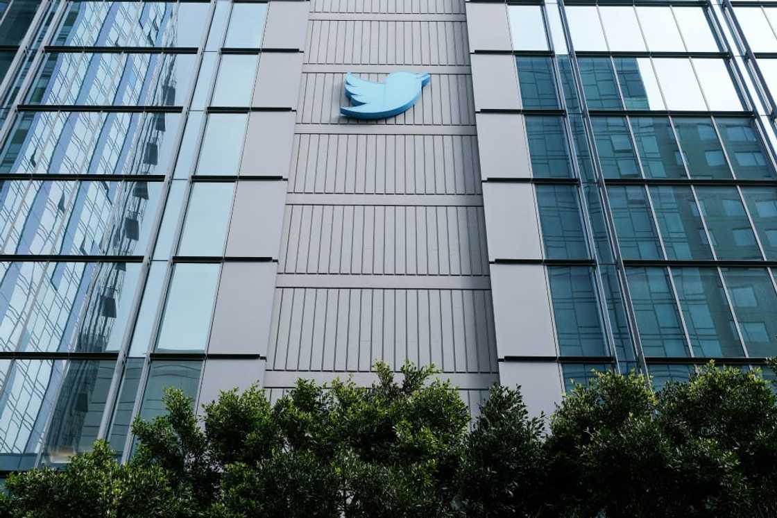 Will Twitter's blue bird soar under Elon Musk's ownership?