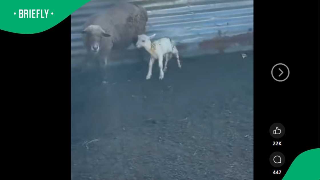 A post went viral. A post went viral.