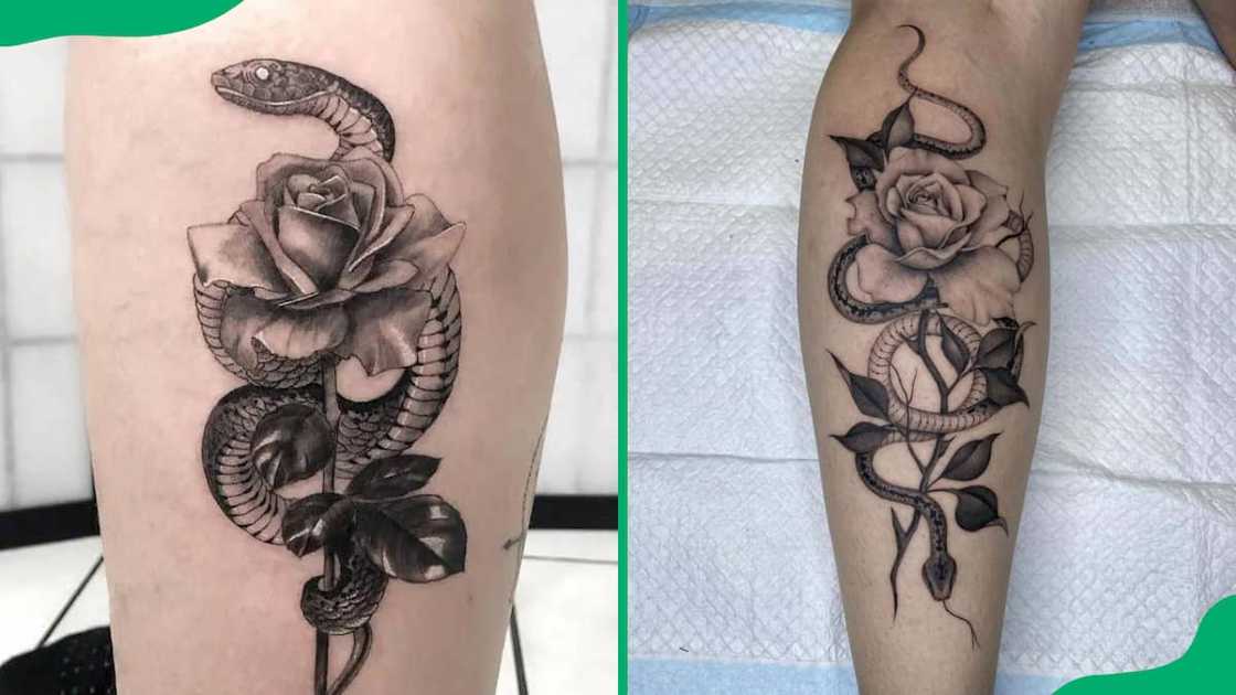 Snake and rose tattoo Snake and rose tattoo