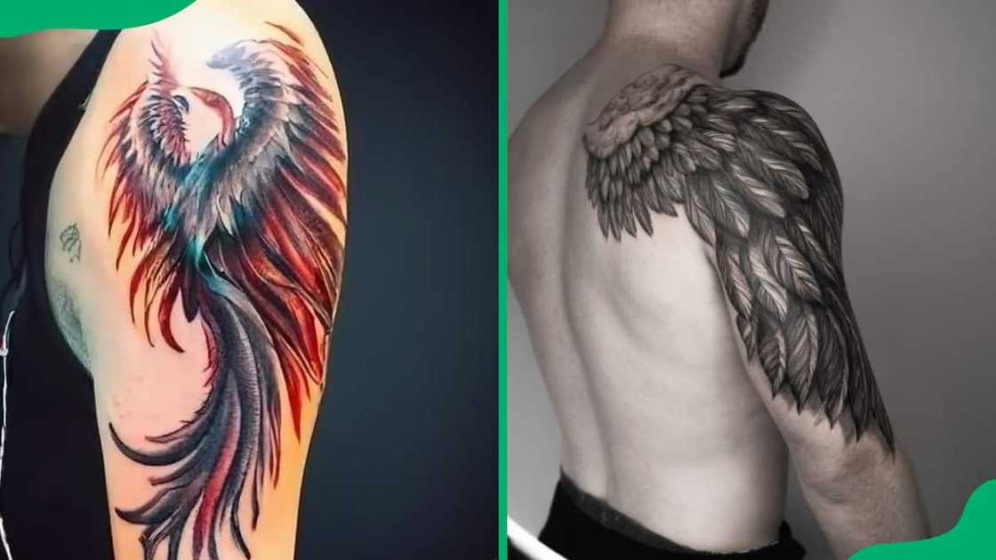 Phoenix wing tattoos Phoenix wing tattoos