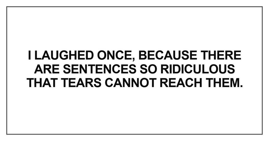 I laughed once, because there are sentences