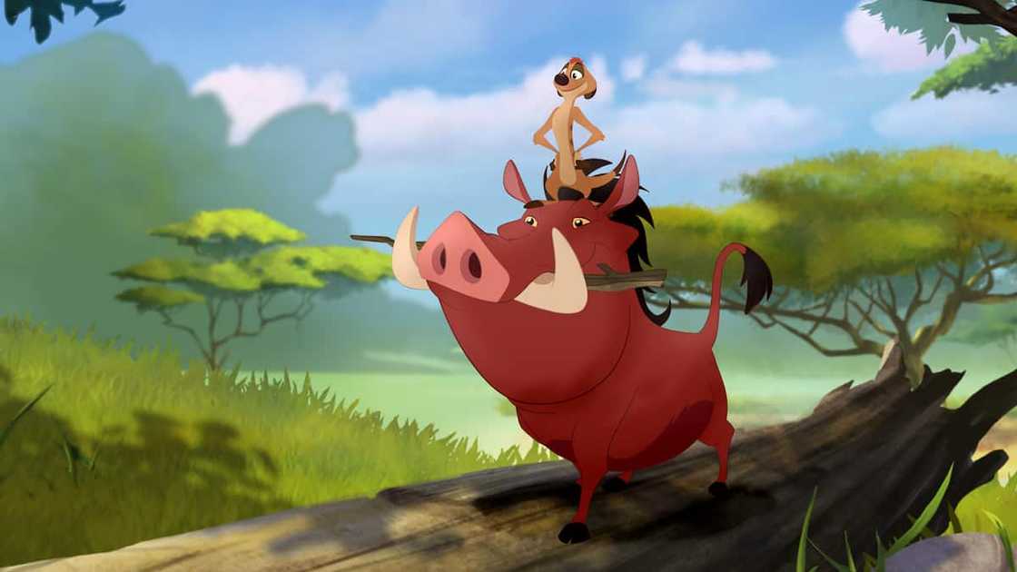 Pumbaa and Timon from Disney's The Lion King Pumbaa and Timon from Disney's The Lion King