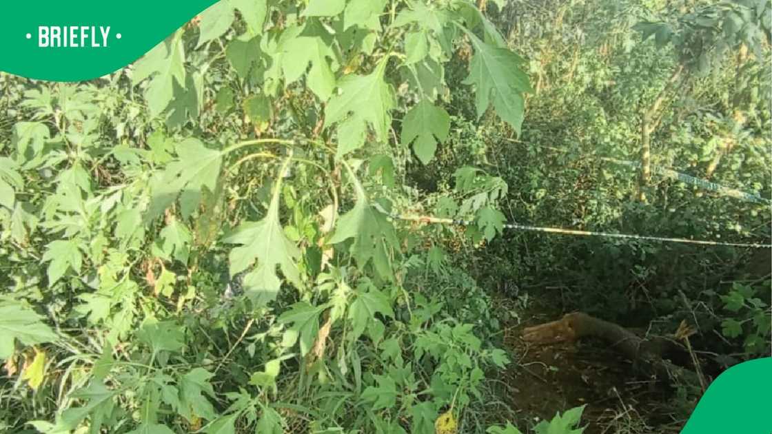 The police immediately went to the scene.