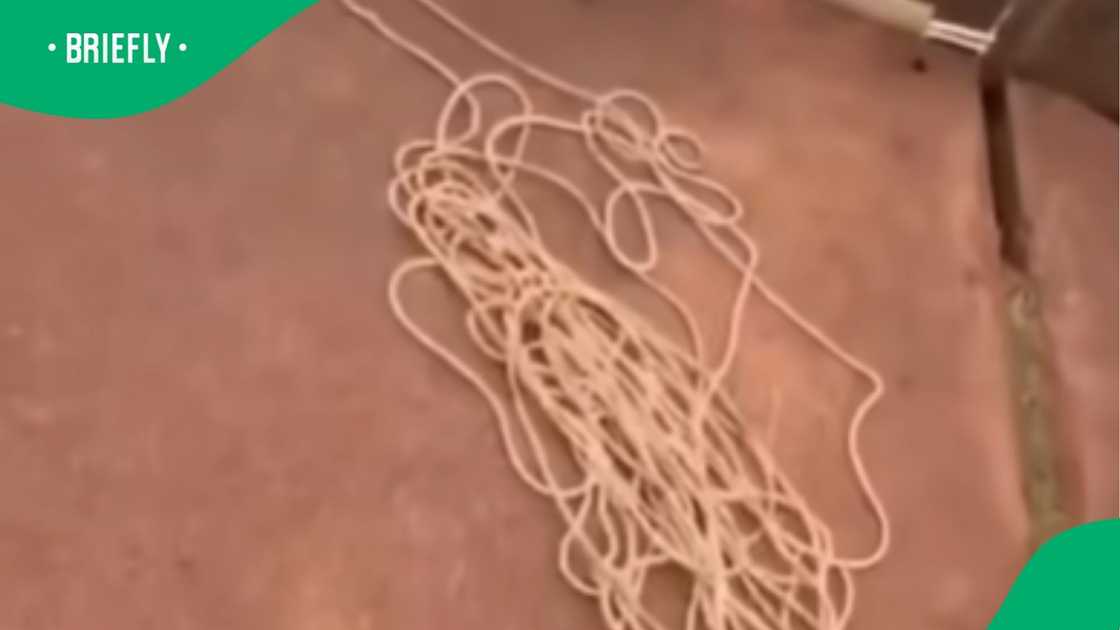 The video still highlighted a tangled bundle of rope left sitting idle on the ground during the extreme sports activity. The video still highlighted a tangled bundle of rope left sitting idle on the ground during the extreme sports activity.