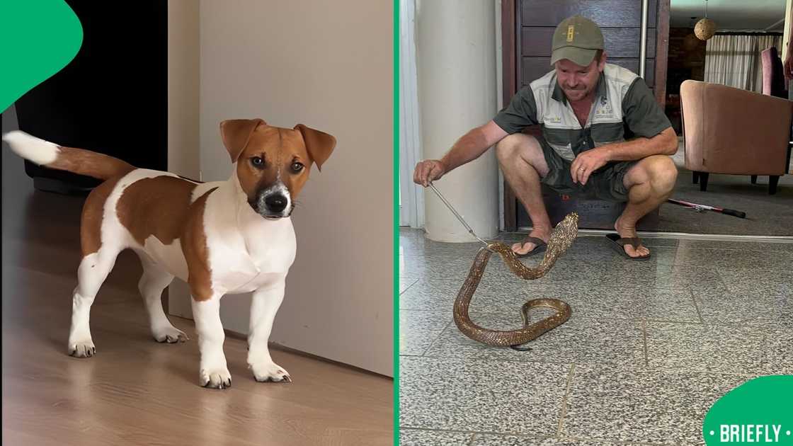 A man's post went viral. A man's post went viral.