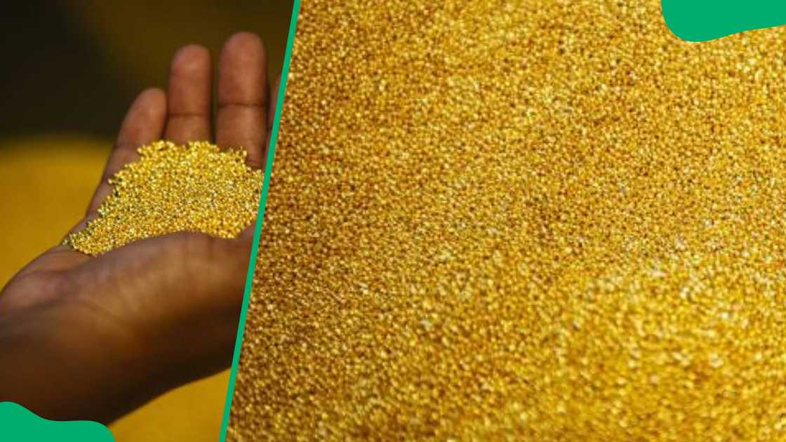 Gold in South Africa Gold in South Africa