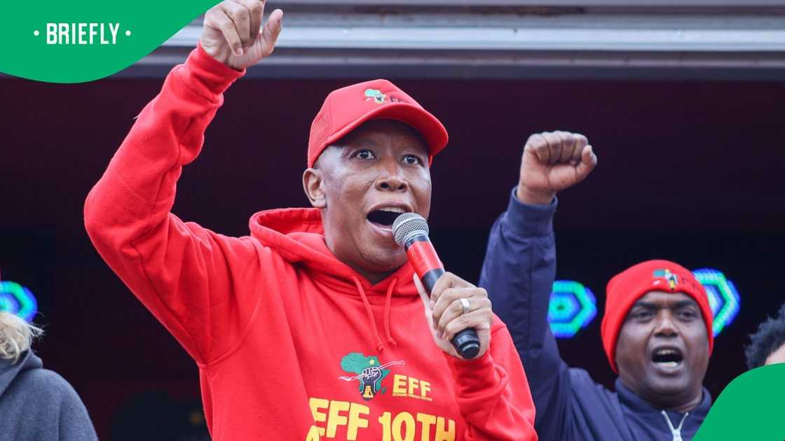 The EFF's Julius Malema slammed Jan Van Riebeeck The EFF's Julius Malema slammed Jan Van Riebeeck