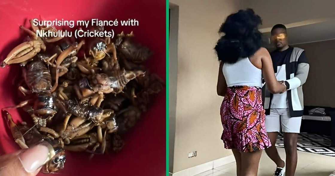 TikTok video shows woman preparing crickets for partner TikTok video shows woman preparing crickets for partner