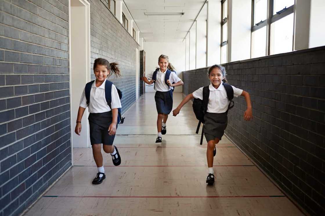 Government primary schools in Gauteng Government primary schools in Gauteng