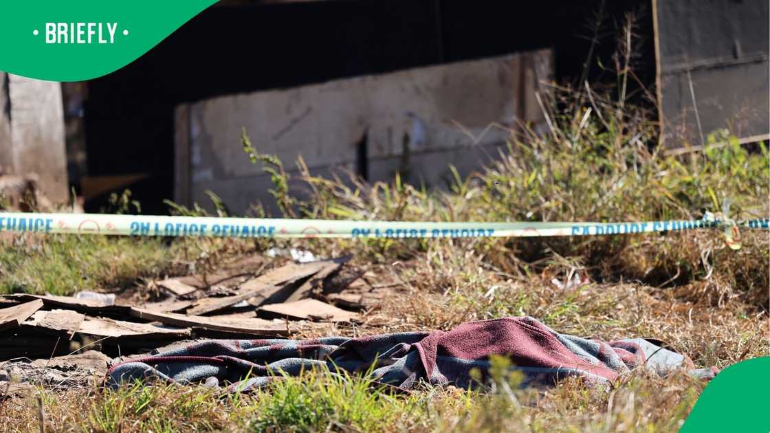 The suspect were allegedly sitting in the living room, not bothered by the flames. The suspect were allegedly sitting in the living room, not bothered by the flames.