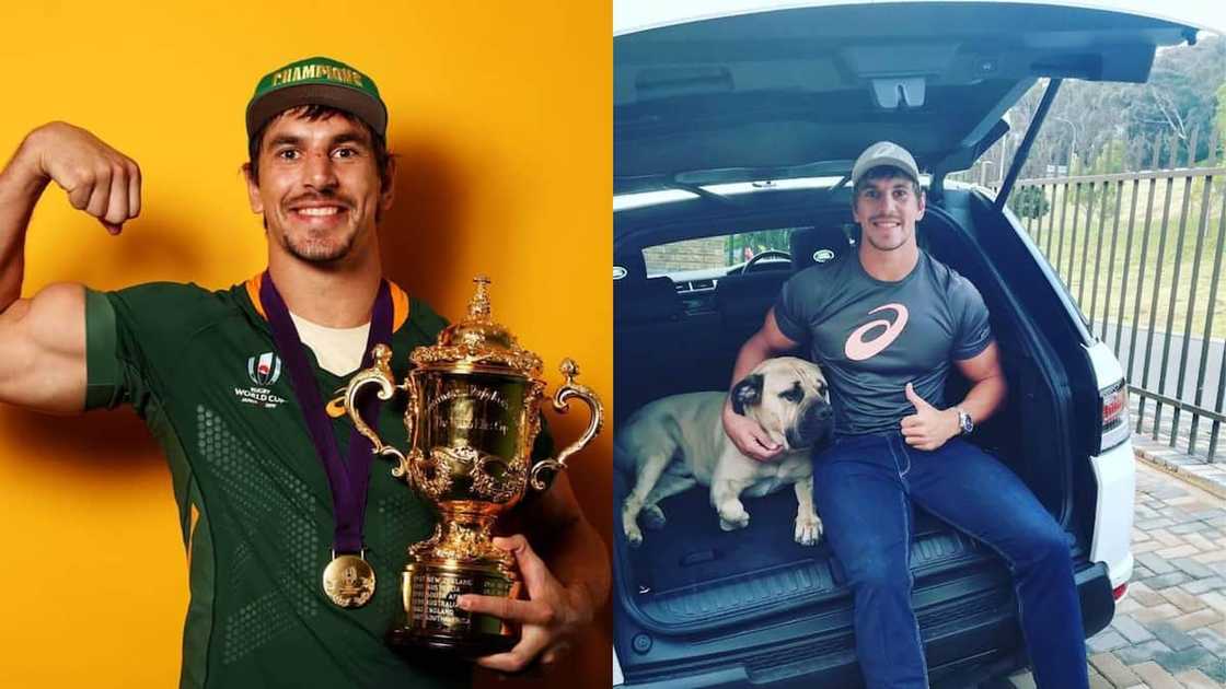 Springbok rugby players Springbok rugby players