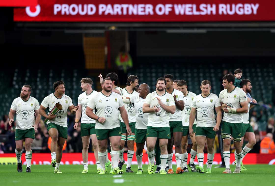 Springboks, South Africa, Wales, Quillter Nations Series 2025 Springboks, South Africa, Wales, Quillter Nations Series 2025