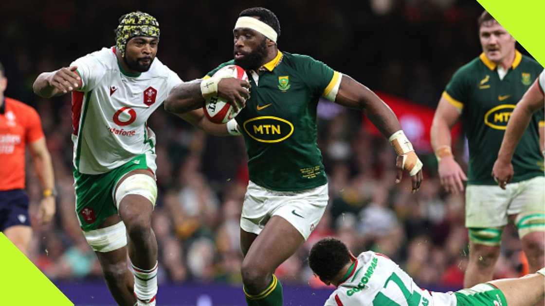 Siya Kolisi reacts to Springboks heavy win over Wales in the Autumn Nations Series 2024 in Cardiff.