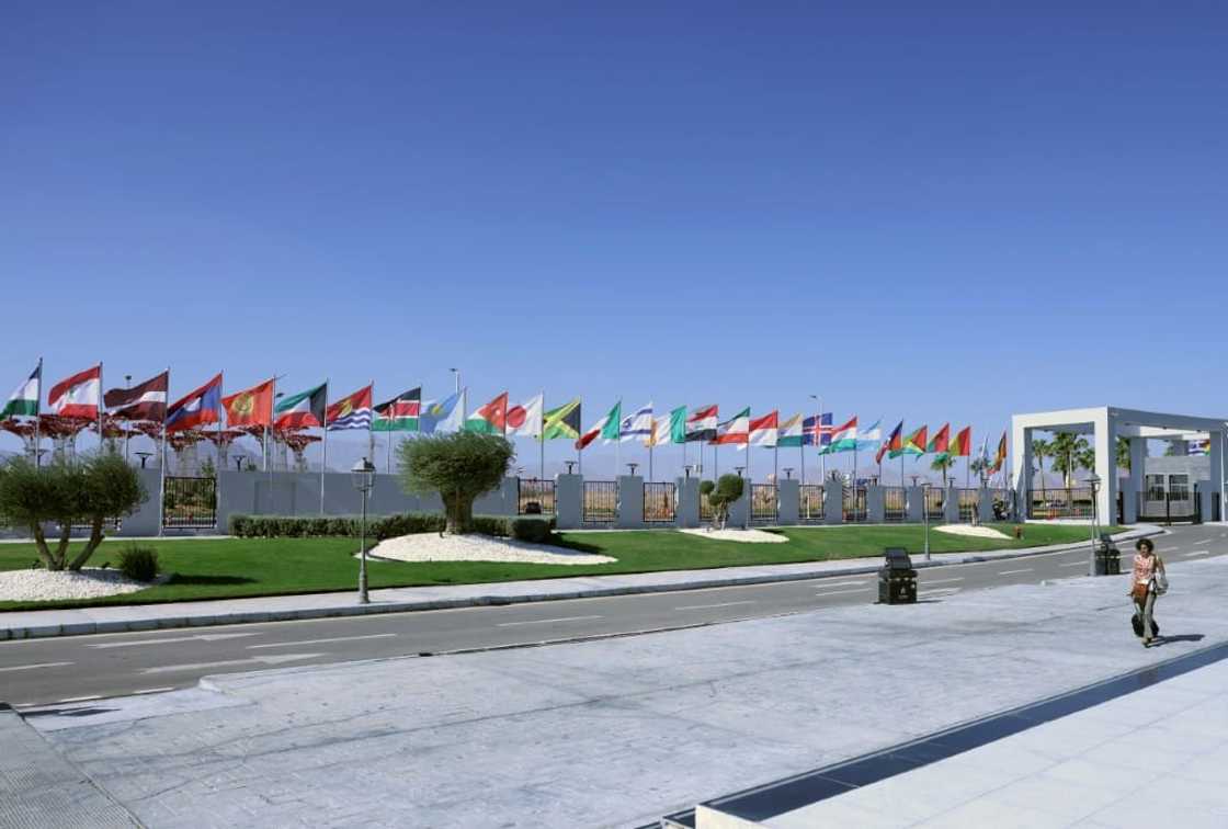 Though ramps abound, attendees with physical impairments say the UN climate summit has been especially difficult for them to navigate Though ramps abound, attendees with physical impairments say the UN climate summit has been especially difficult for them to navigate