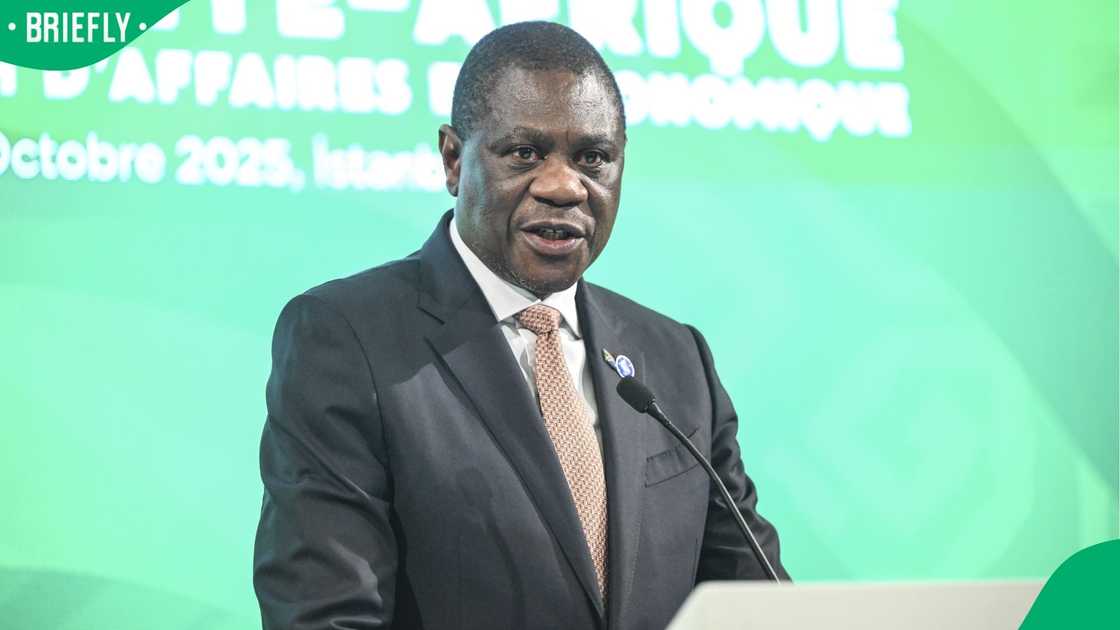 Deputy President Paul Mashatile Deputy President Paul Mashatile