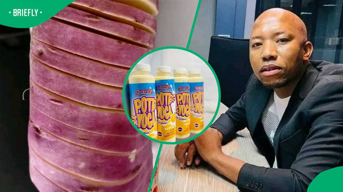 Limpopo entrepreneur turns sweet potatoes into yoghurt brand with global ambitions