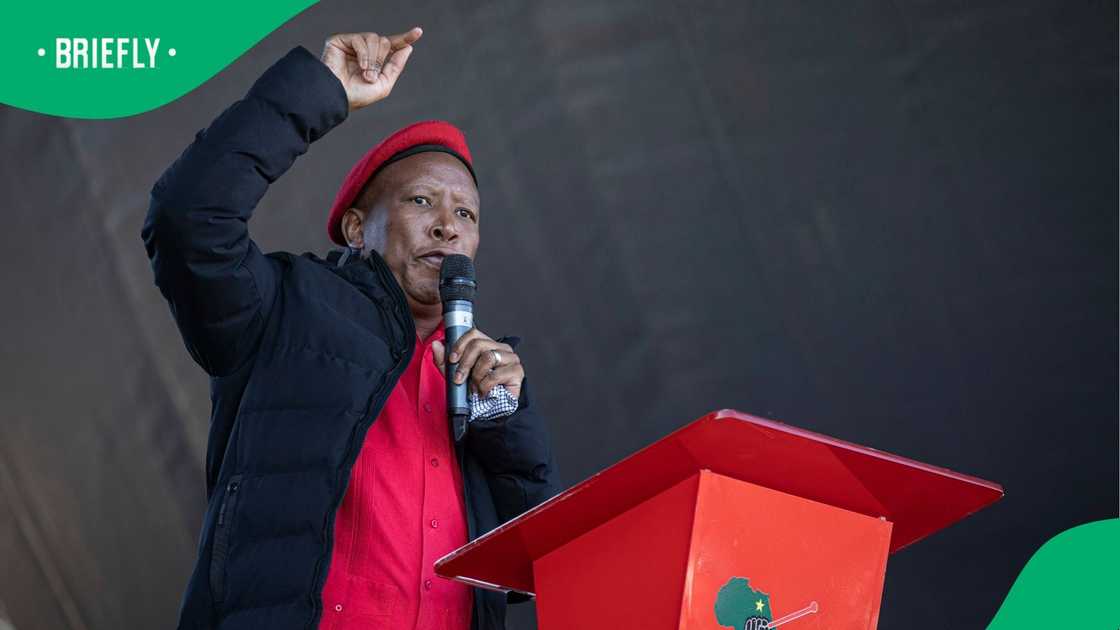 Malema has long criticised Operation Dudula Malema has long criticised Operation Dudula