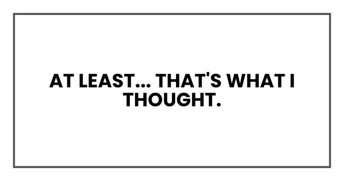 At least... that's what I thought. At least... that's what I thought.