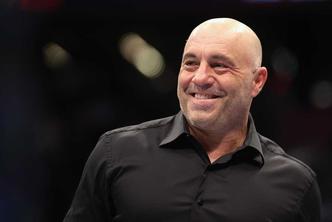 Joe Rogan's net worth