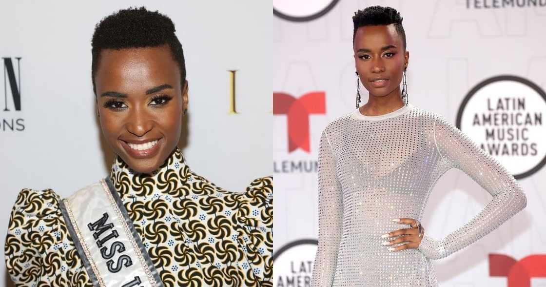 Miss Universe, Former Miss South Africa, Zozibini Tunzi, Zozi Tunzi, South African beaty queen, The Woman King, American film industry Miss Universe, Former Miss South Africa, Zozibini Tunzi, Zozi Tunzi, South African beaty queen, The Woman King, American film industry