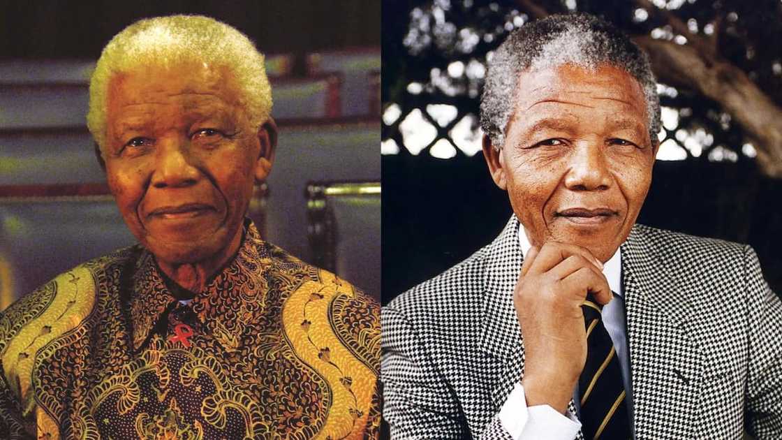 Nelson Mandela biography