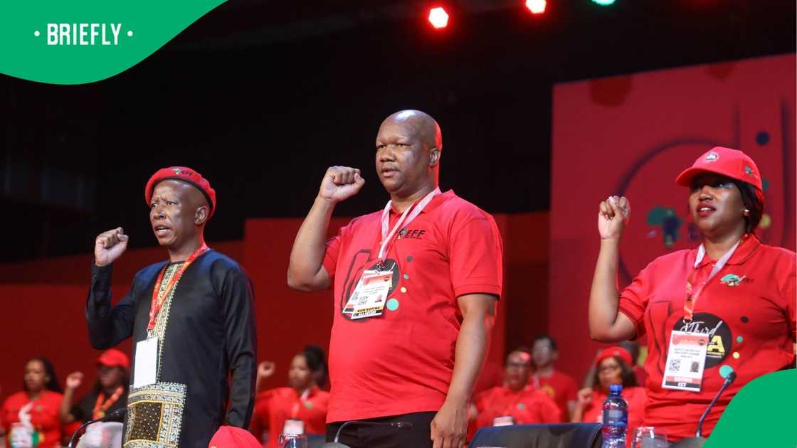 The EFF has criticised Cyril Ramaphosa The EFF has criticised Cyril Ramaphosa