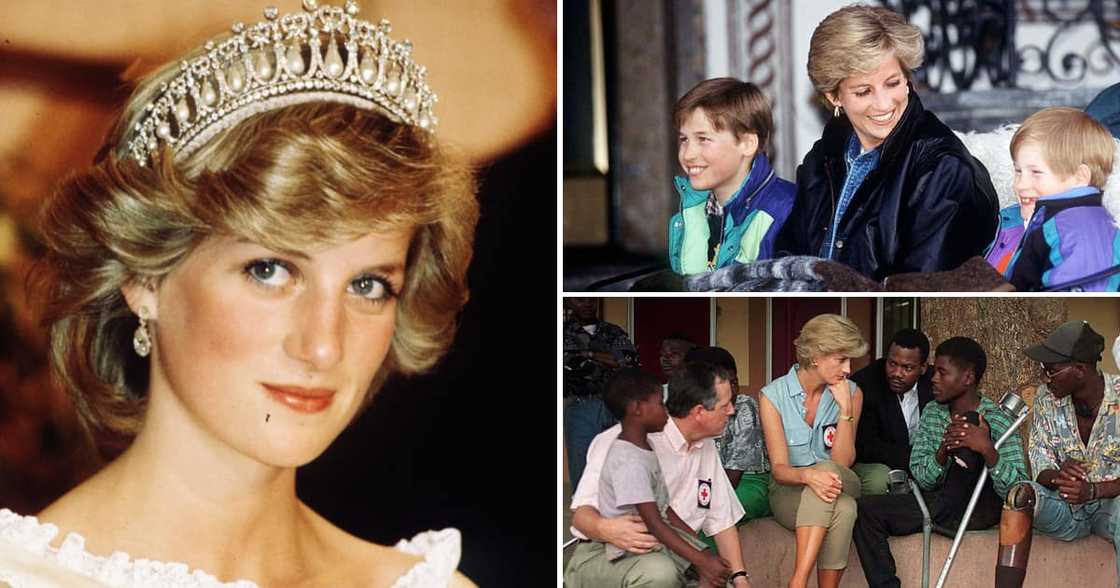 Princess Diana was an iconoclast in history