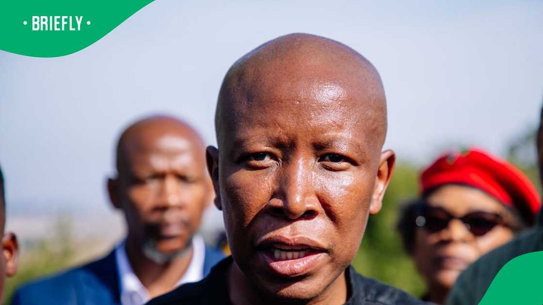 Julius Malema said Cyril Ramaphosa will not receive respect in the United States Julius Malema said Cyril Ramaphosa will not receive respect in the United States