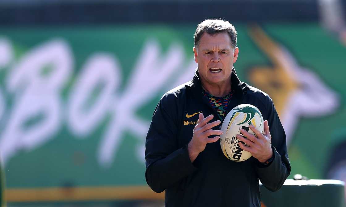 Rassie Erasmus, Springboks, South Africa, Nations Championship Rassie Erasmus, Springboks, South Africa, Nations Championship