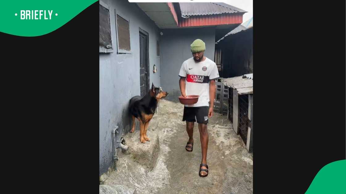 A video went viral on TikTok. A video went viral on TikTok.