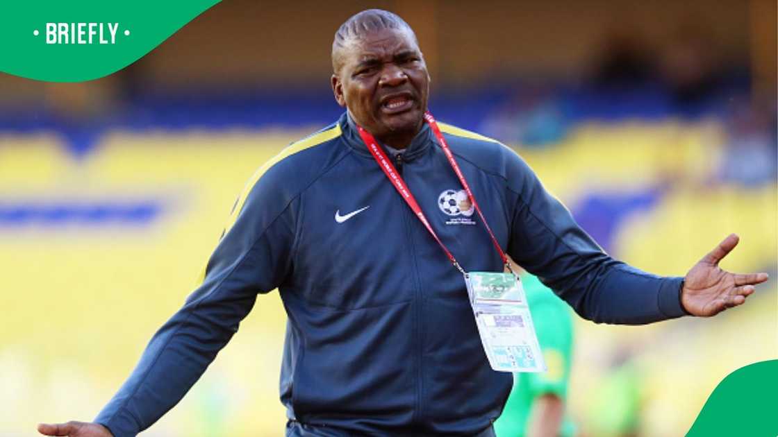 Molefi Ntseki appointed as Bafana Bafana CHAN new head coach.