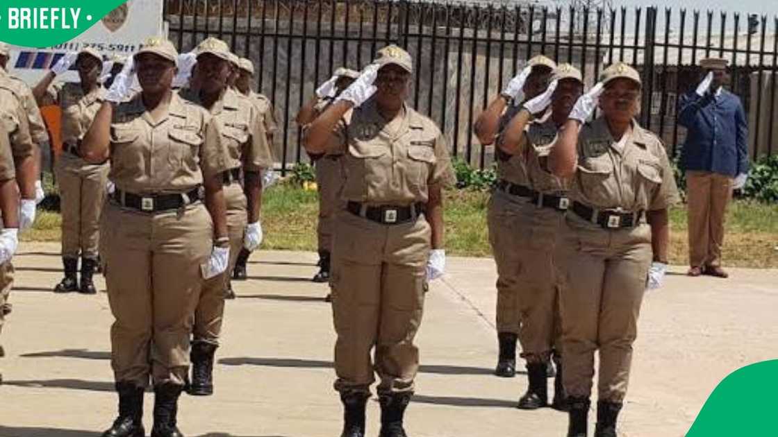 Gautengs crime wardens Gautengs crime wardens