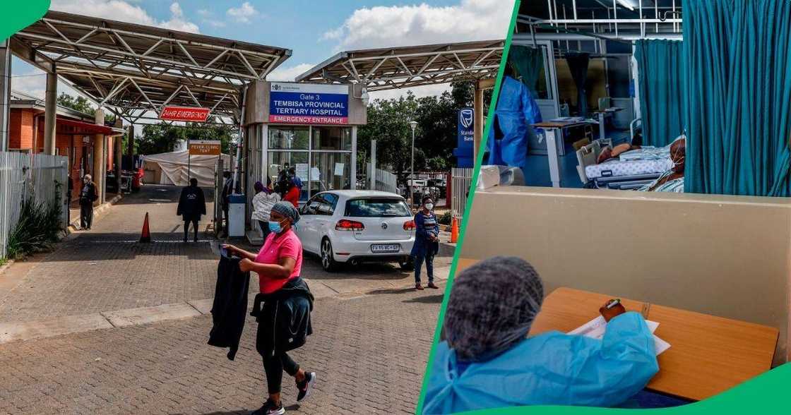 Another bogus doctor arrested at Tembisa Hospital Another bogus doctor arrested at Tembisa Hospital