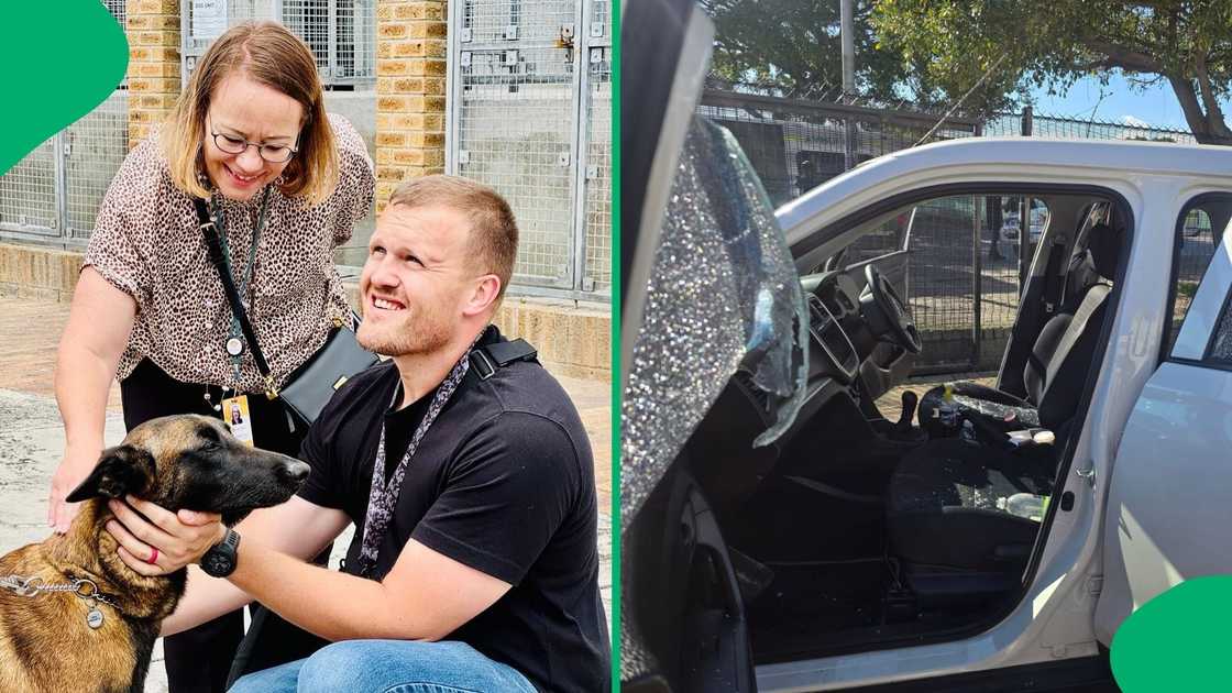 Ian Cameron said that the attack he and other DA MPs inclding Lisa Schickerling was calculated Ian Cameron said that the attack he and other DA MPs inclding Lisa Schickerling was calculated