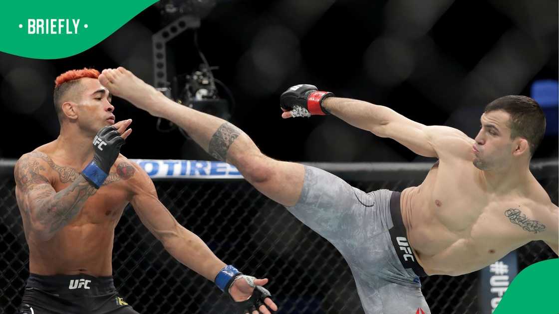 UFC, Godofredo Pepey, Mirsad Bektic, UFC Fight Night