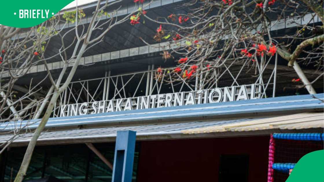 King Shaka International