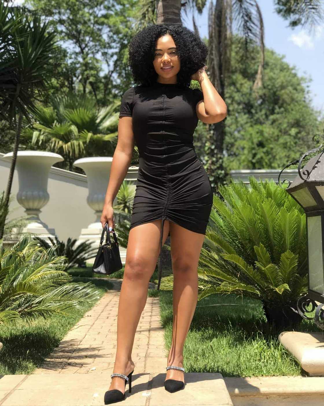 Who are Mzansi top vixens? Who are Mzansi top vixens?