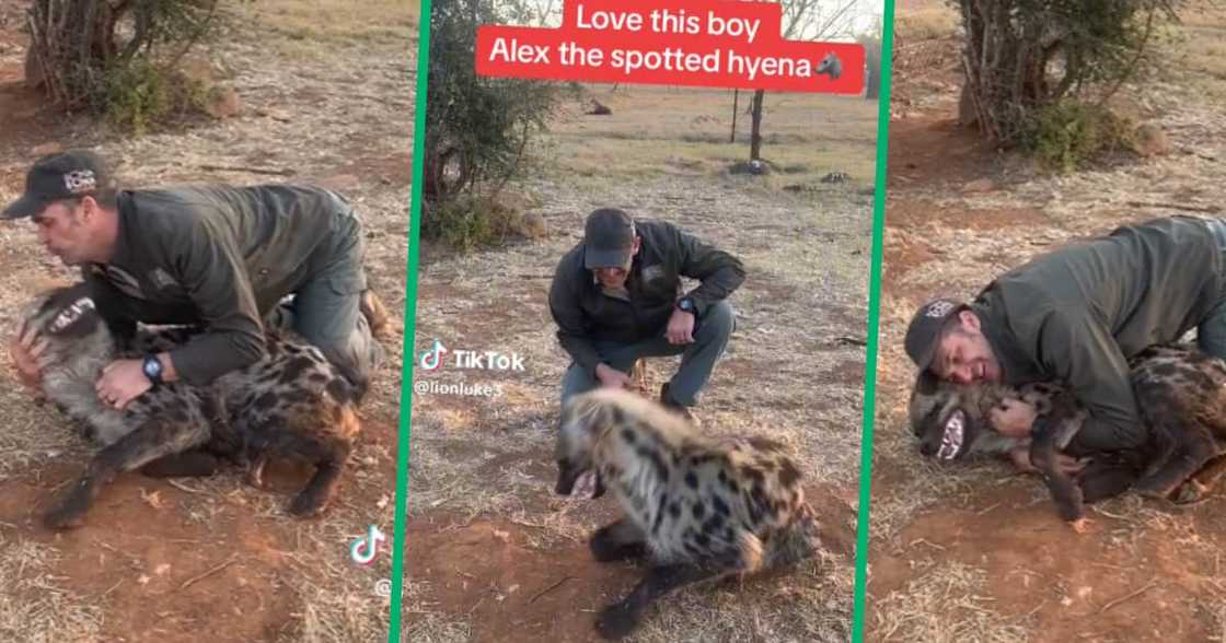 Man with hyena Man with hyena