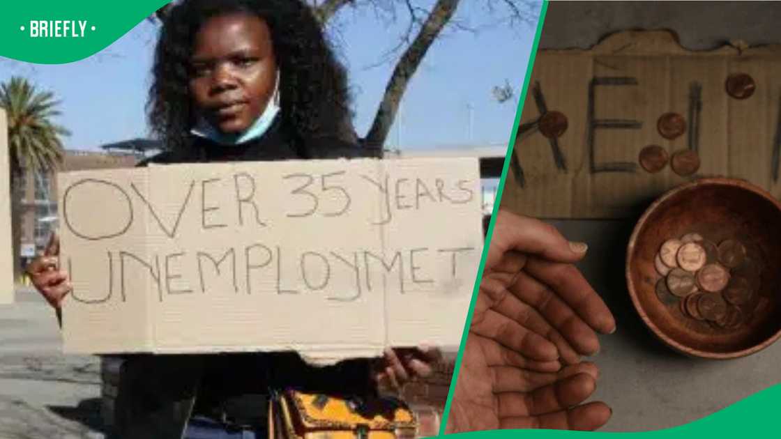 Job loss and industry collapse contributes to the high unemployment rate in South Africa Job loss and industry collapse contributes to the high unemployment rate in South Africa