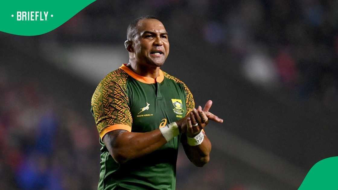 Springboks, South Africa, Cornal Hendricks, Munster