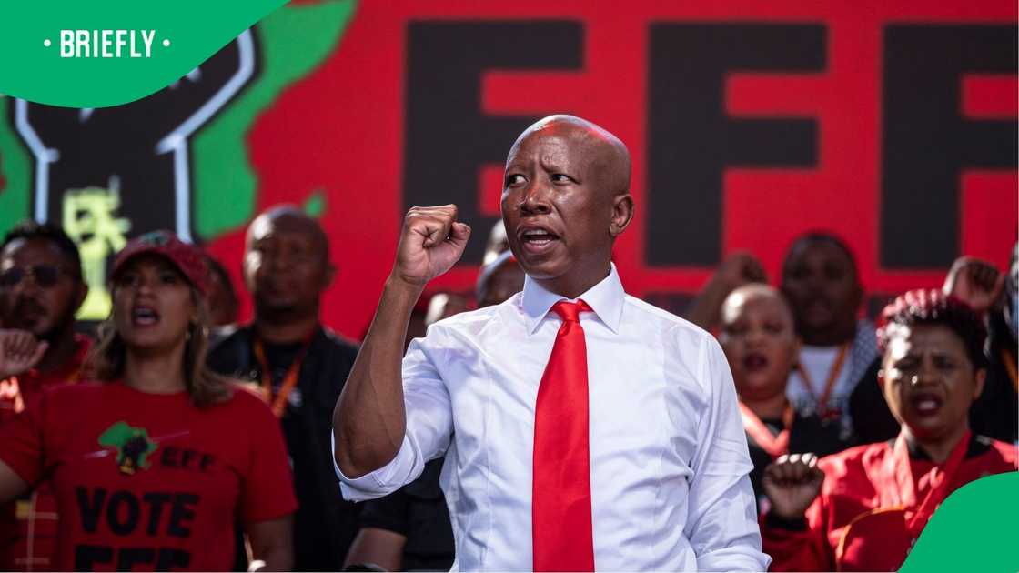 Julius Malema has hit back at Donald Trump Julius Malema has hit back at Donald Trump
