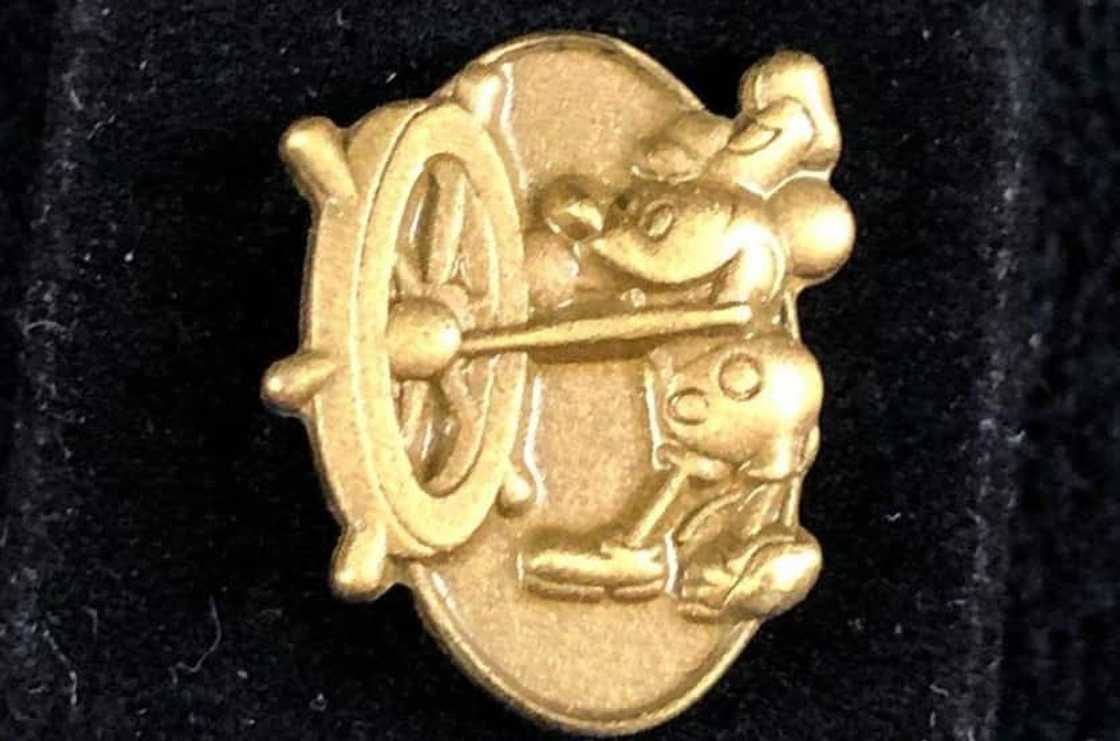 The Steamboat Willie 50-Year Service Reward The Steamboat Willie 50-Year Service Reward