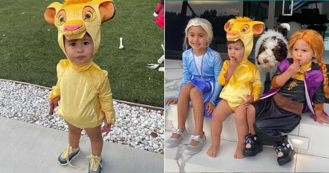 Reel, Cute, Adorable, Little boy, Simba, Costume, Halloween, Celtics, Bonfire, Ward off, Social media, Instagram, Apparitions Reel, Cute, Adorable, Little boy, Simba, Costume, Halloween, Celtics, Bonfire, Ward off, Social media, Instagram, Apparitions