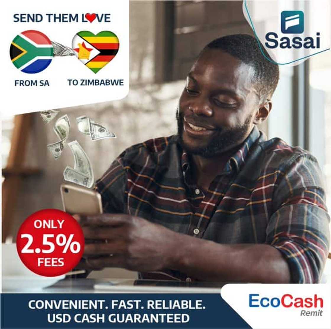 EcoCash charges