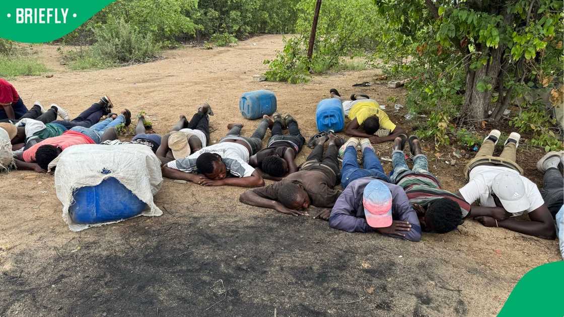 The illegal immigrants were found trying to enter South Africa through the bushes