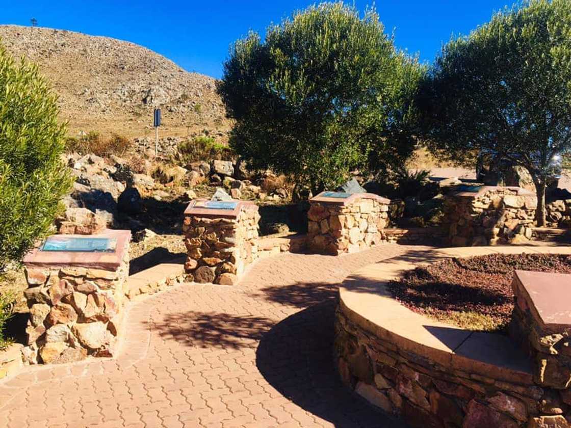 Barberton Makhonjwa Mountains Barberton Makhonjwa Mountains