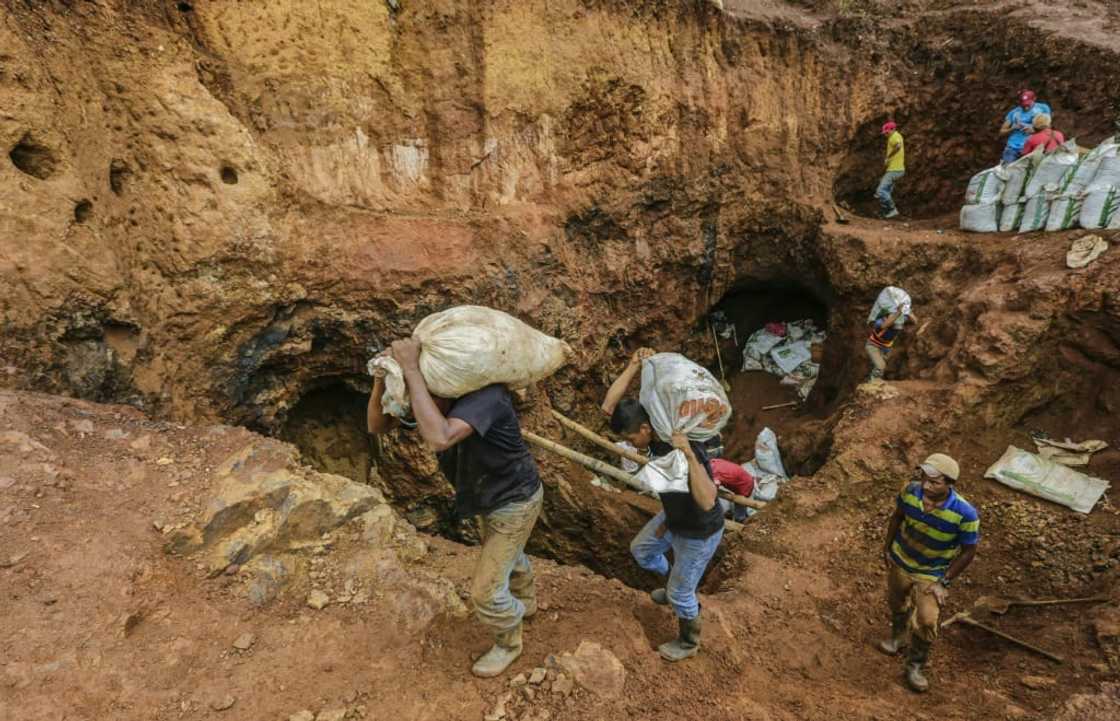 Miners carry sacks with rocks to be crushed in order to extract gold at a mine near Rosita in northeast Nicaragua.