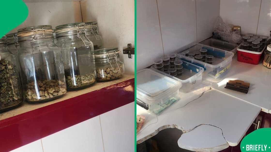 SAPS drug bust SAPS drug bust