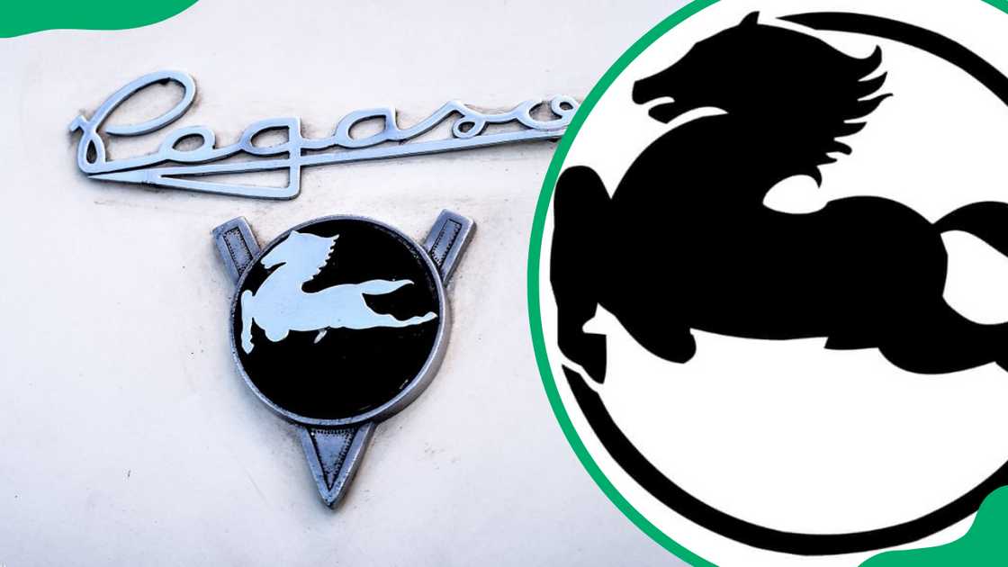Pegaso logo Pegaso logo